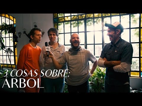 Arbol video #3CosasSobre - Octubre 2017
