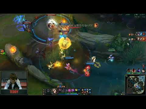 SKT vs RNG Final fight (PROVIEW) - Worlds 2019