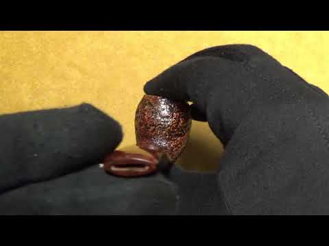 Pipa Dunhill Cumberland gruppo (3) (2021) (DHCU41)