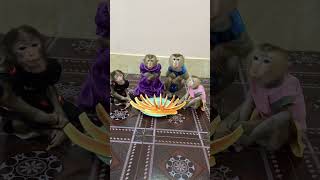 Download lagu Very Mannerly!! mp3