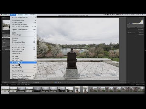 Mastering Lightroom Classic CC - 3: Cull & Organize