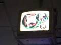 CC TV For David