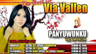 Via Vallen-Panyuwunku