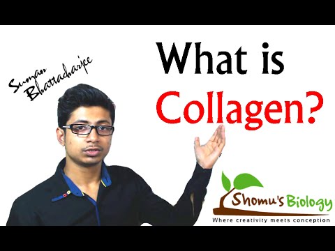 What is collagen