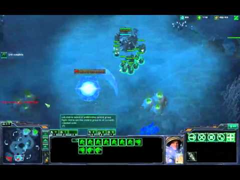 ThorZaIN [FPVOD] vs dBlinG [TvP Xel'Naga Caverns 1v1]