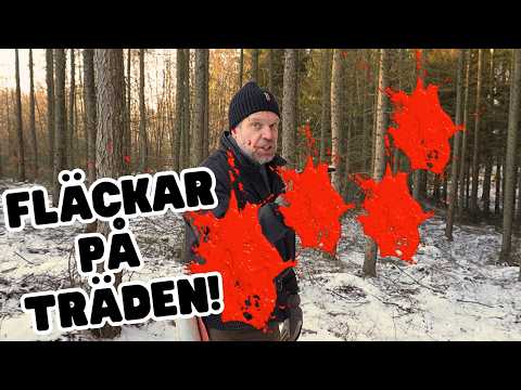 blir det när man STÄMPLAR!