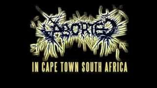 Aborted - Coffin Upon Coffin (in Cape Town 2015)