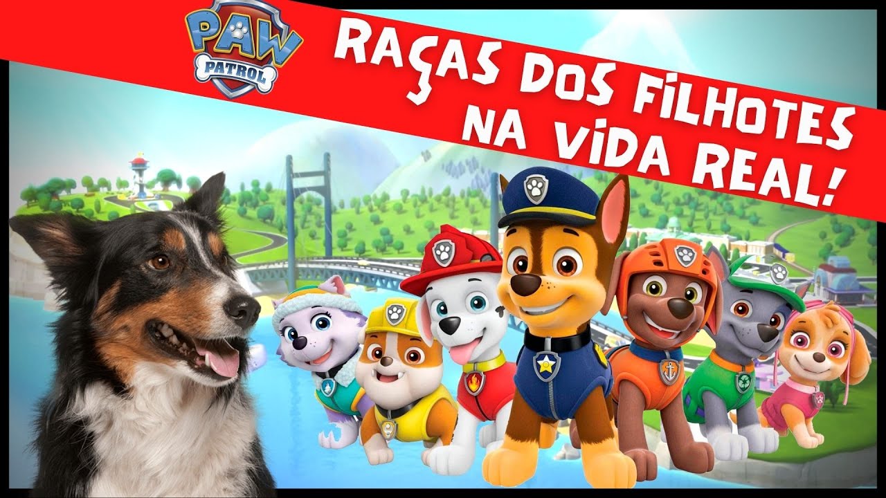 Watch Now PATRULHA CANINA NA VIDA REAL: Todas as Raças dos Filhotes! Passarinho Azul - Português Brasil PATRULHA CANINA NA VIDA REAL: Todas as Raças dos Filhotes! Passarinho Azul - Português Brasil