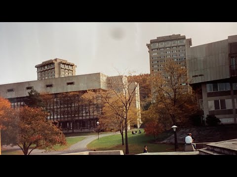 Rick Beato New 8-21-20