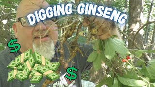 Digging Ginseng For Cash - How To Find It - How To Dig It - How To Clean And Dry It