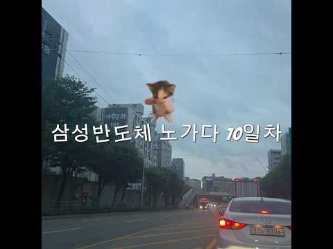 고덕 삼성반도체 노가다10일차