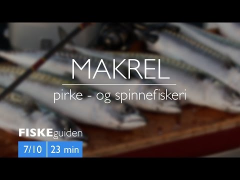 Makrelfiskeri med Gordon P. Henriksen