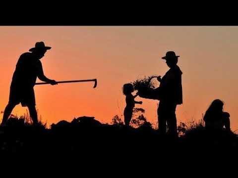 Mãos Pra Toda Luva video