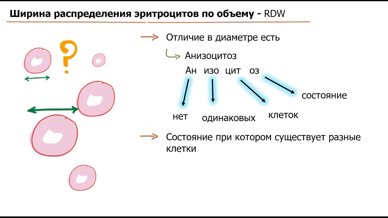 Эритроцитарные индексы | MCV, MCH, MCHC, RDW