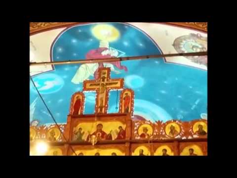 20160124 NICOLAE BALASOIU – VINDECAREA ORBULUI DIN IERIHON