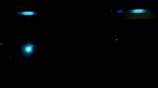 Kaddisfly in Santa Clara, Ca