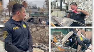 DMV - Identifying Vehicles Destroyed in LA Wildfires