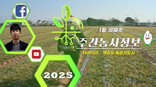 ✨[ 주간농사정보 ] 1월 4째주 (2025. 01. 20. ~ 01. 26.)