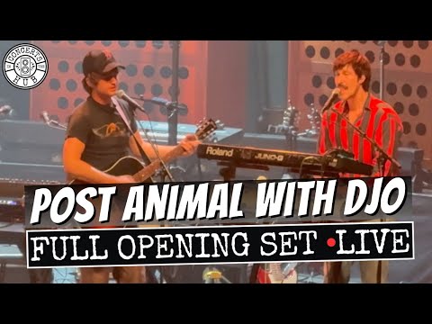 Post Animal Full Opening Set with Djo LIVE