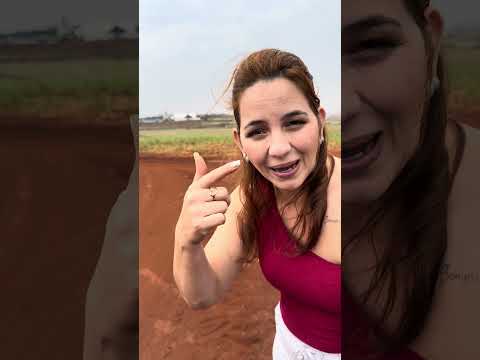 A gente é de bandeirantes Paraná