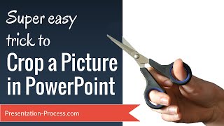 Super Easy Trick to Crop a Picture in PowerPoint