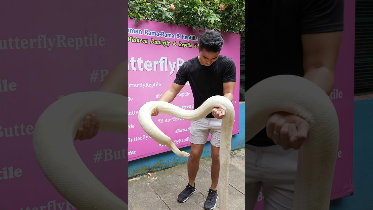 YouTube Short thumbnail