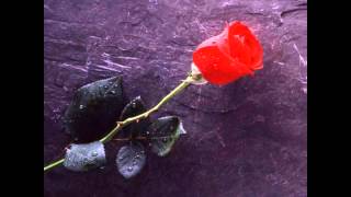 Poison- Every rose has its thorn (guitar backing track bret michaels voice)