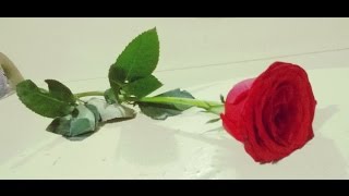 ME ENAMORE DE TI REMMY VALENZUELA