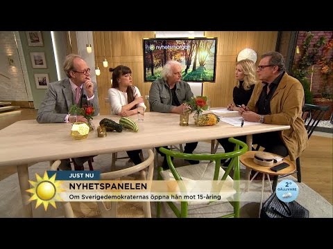 Nyhetspanelen: "Löfven verkar otroligt mesig" - Nyhetsmorgon (TV4)