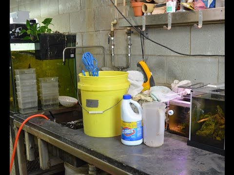 Disinfecting Aquarium Equipment!