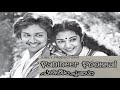 Poonthaliradi പൂന്തളിരാടി 1981 N G