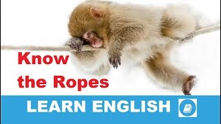 Know the Ropes - English Idiom