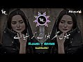 Menu Ghar Bulwa Ke Kar Satyai New Saraiki Song 2025 Slow Reverb Songs TikTok Viral Songs