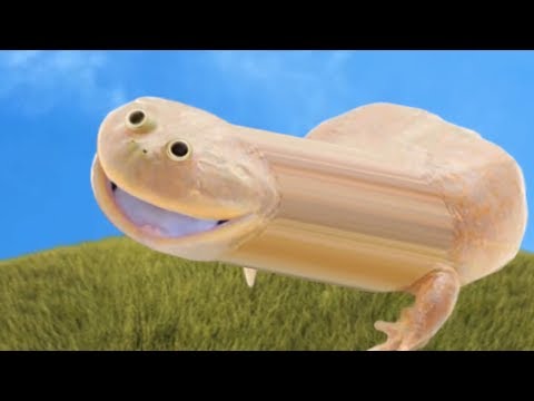Wednesdaaaaaaaay - YouTube