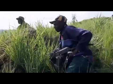 Geheime Deals - Kongo im Visier der Waffenhändler - Teil 2