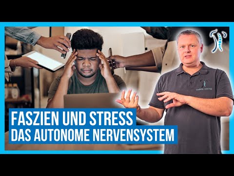 Faszien und Stress: Wie das Autonome Nervensystem die Spannung beeinflusst