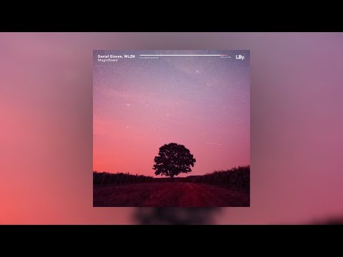 Daniel Glaven & WLZN - Magnificent