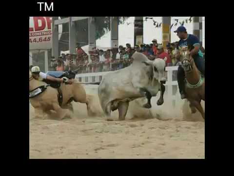 Paixão de vaqueiro  - eu apoio a vaquejada