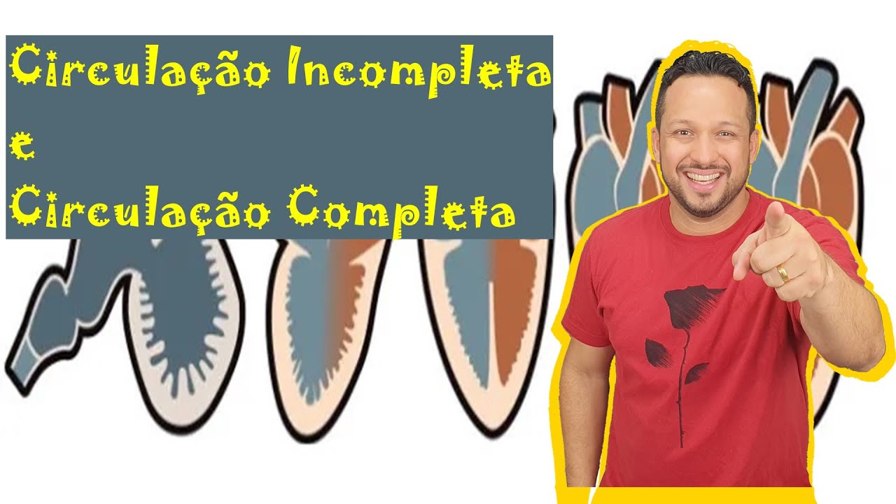 Circulação Incompleta e Circulação Completa - Tipos de Circulação dos Vertebrados - Fisiologia