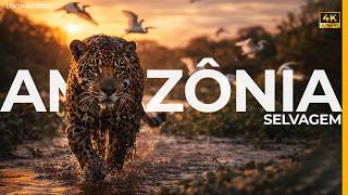 Dentro do Coração da Floresta Amazônica — Vida, Predadores e Equilíbrio Natural | 4K