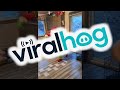 The Grinch Steals a Christmas Tree || ViralHog