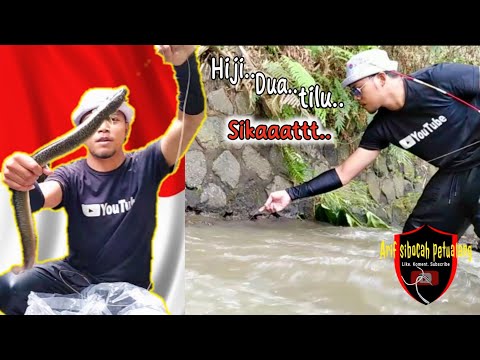 Momen Spesial mancing sidat di hari kemerdekaan HUT RI KE 77