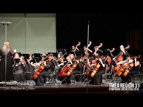 TMEA Region 31 ES/MS Symphonic Orchestra 2018 Concert