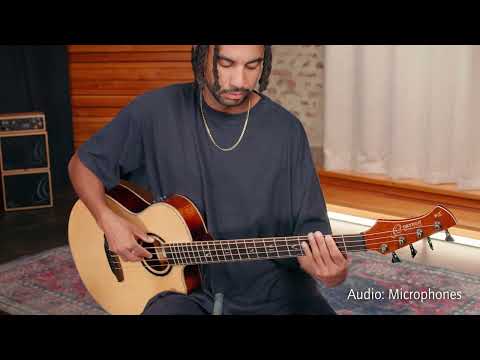 Ortega KTSM2-4 Signature Series Ken Taylor Solid Spruce Top Nato Neck Cutaway 4-String Acoustic-Electric Bass Guitar w/Gig Bag image 17