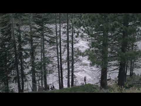 Video thumbnail for A Song for the Birds (Acoustic)
