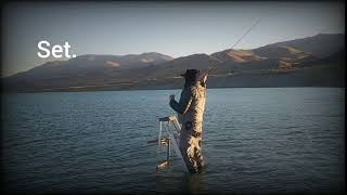 Bearfish Alliance - 332