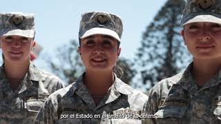 Saludo del Subsecretario Eidelstein con motivo del Aniversario 92° de la FACH