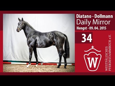 34 Daily Mirror Hengst v. Diatano - Dollmann  Longe