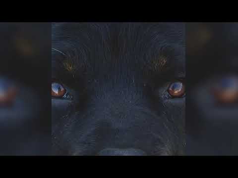 Clyde De Vil - Alf (Instrumental)