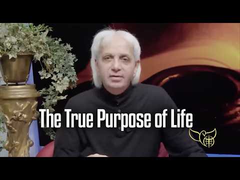 The True Purpose of Life
